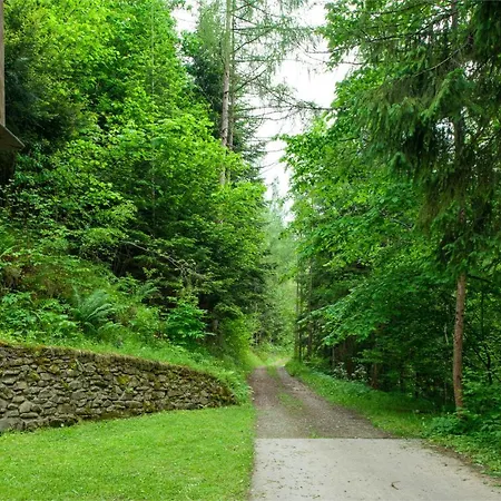 Swit W Gorcach - Dom Wakacyjny Ochotnica Dolna Exterior photo